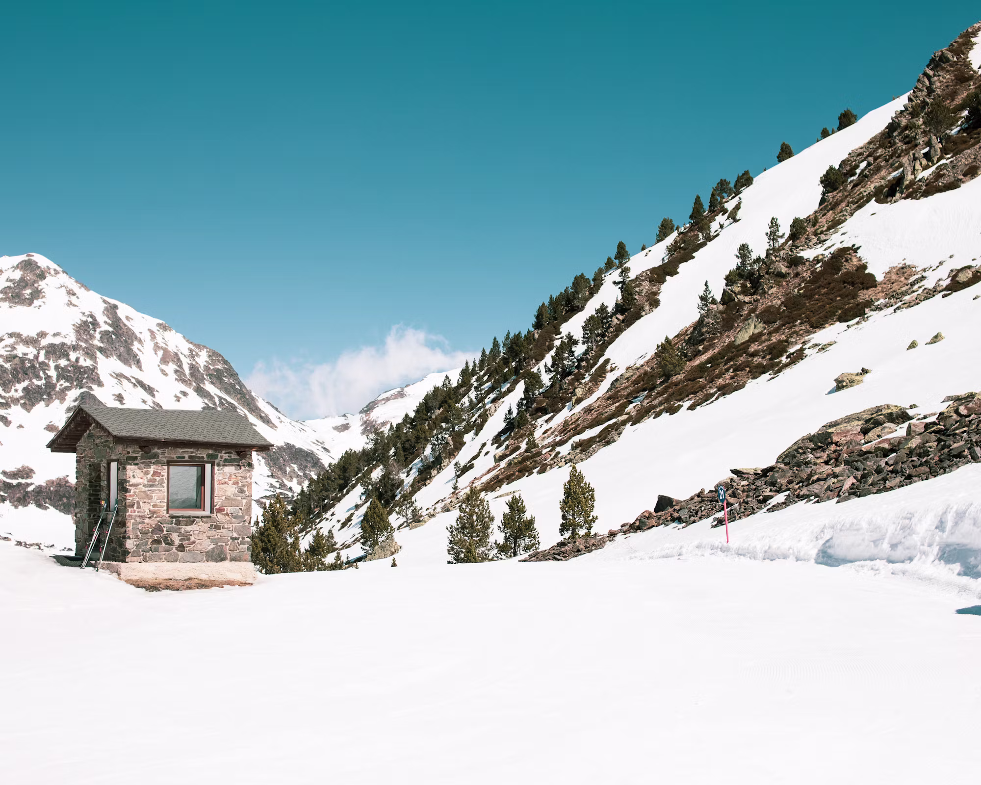 Exploring the Thrill of Snowboarding: Techniques, Tips, and Adventures